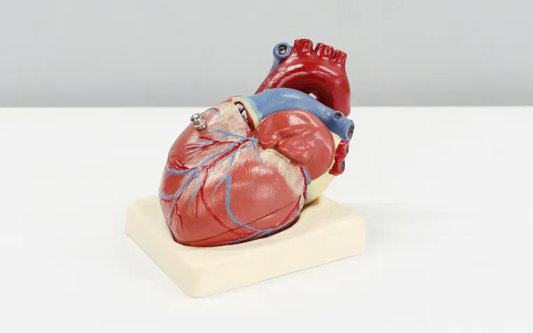 Afib Symptoms and Treatments: What You Need to Know